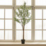 شجرة الزيتون - 180 سم-household-gardenandoutdoor-trees-image-4