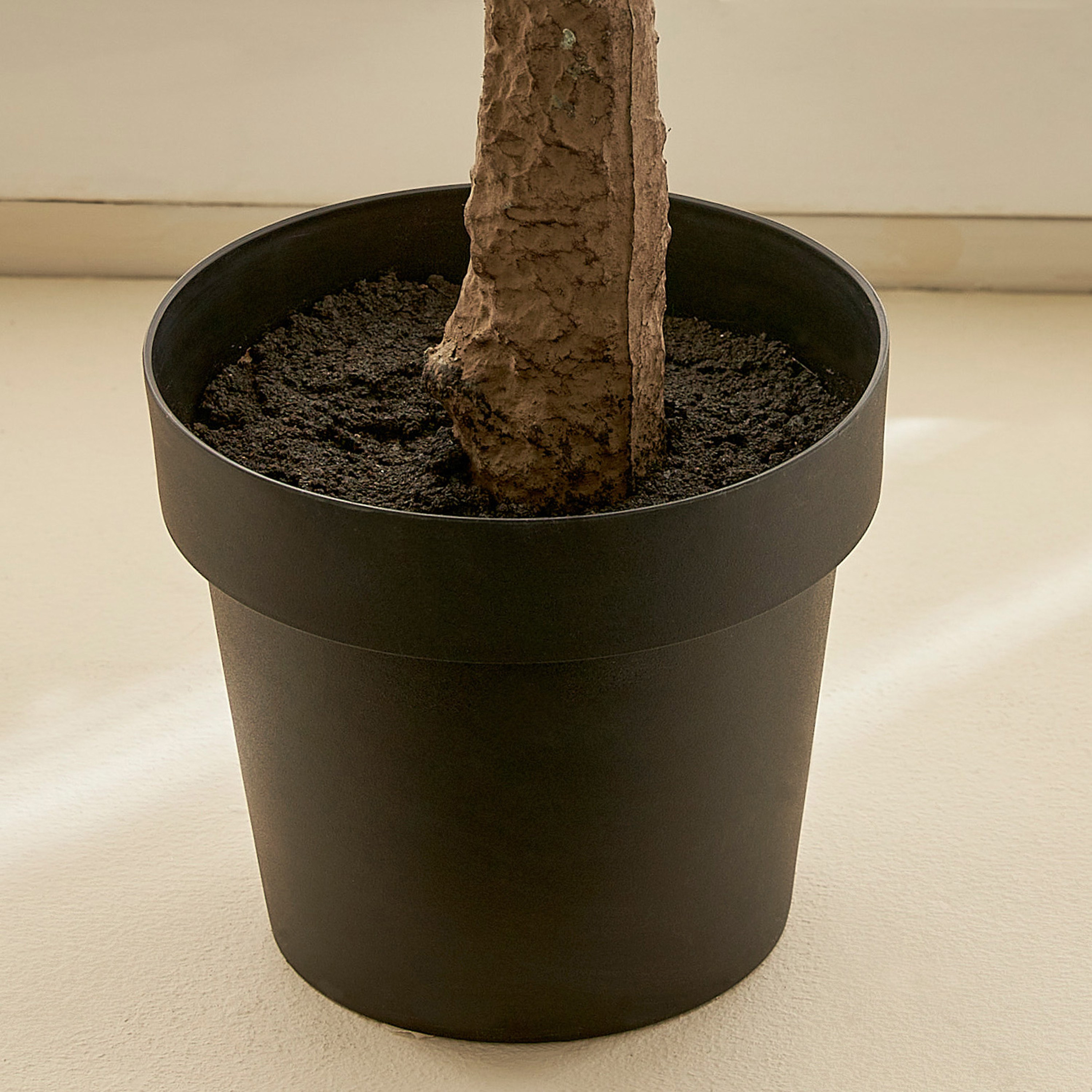 Olive Tree - 180 cm-household-gardenandoutdoor-trees-image-3