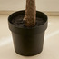 شجرة الزيتون - 180 سم-household-gardenandoutdoor-trees-image-2