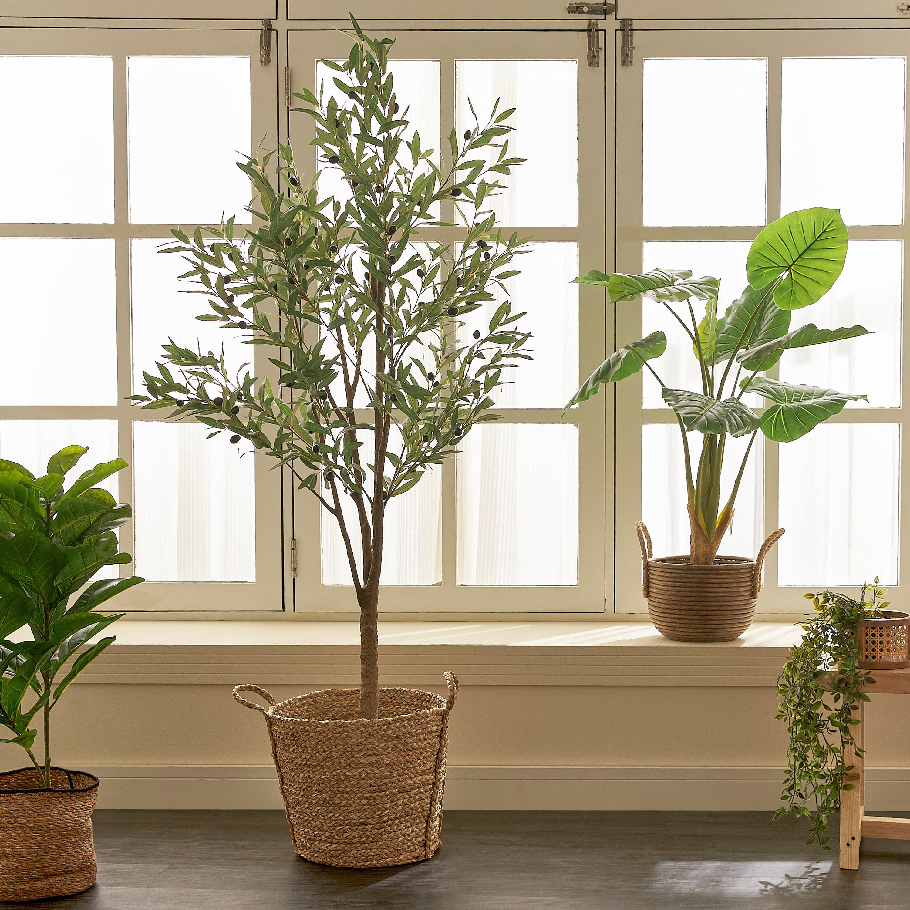 Olive Tree - 180 cm-household-gardenandoutdoor-trees-image-4