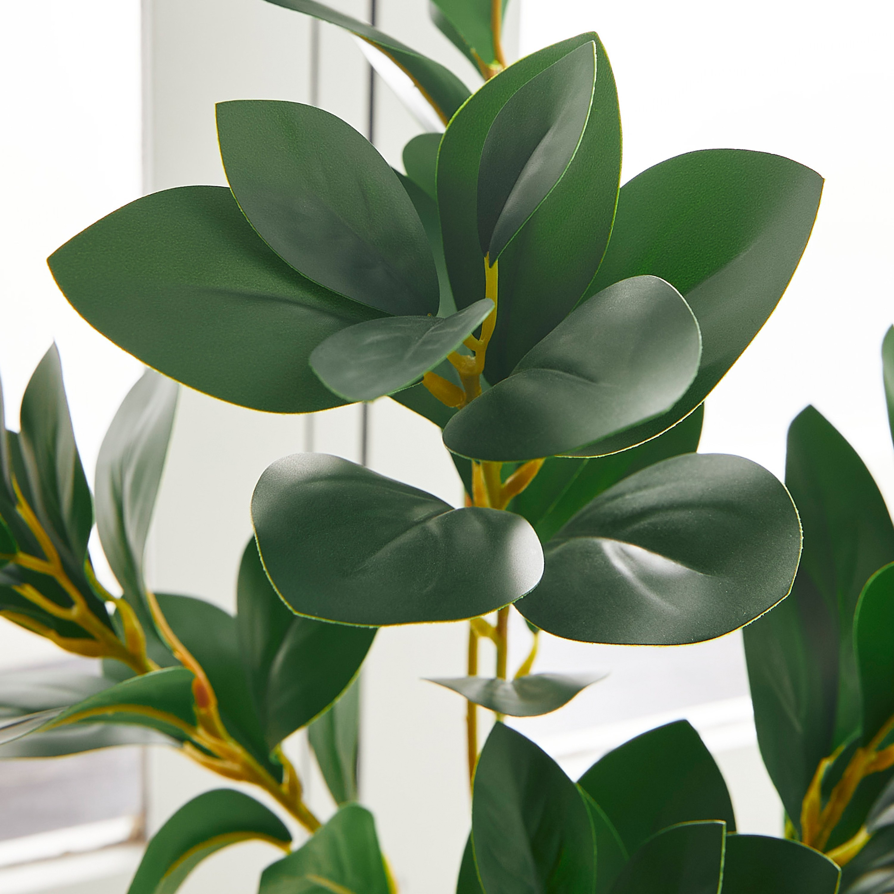 Peperomia Plant in Pot - 68 cm-household-gardenandoutdoor-artificialplants-pottedplants-image-2