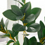 Peperomia Plant in Pot - 68 cm-household-gardenandoutdoor-artificialplants-pottedplants-image-2
