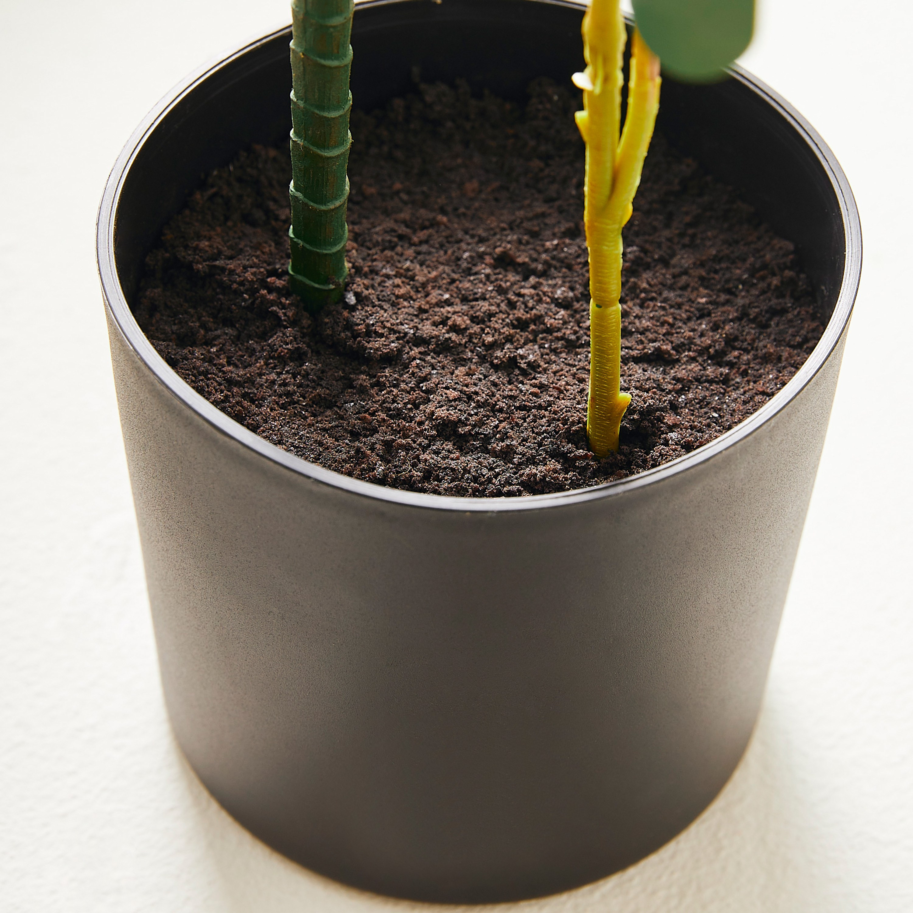 Peperomia Plant in Pot - 68 cm-household-gardenandoutdoor-artificialplants-pottedplants-image-3