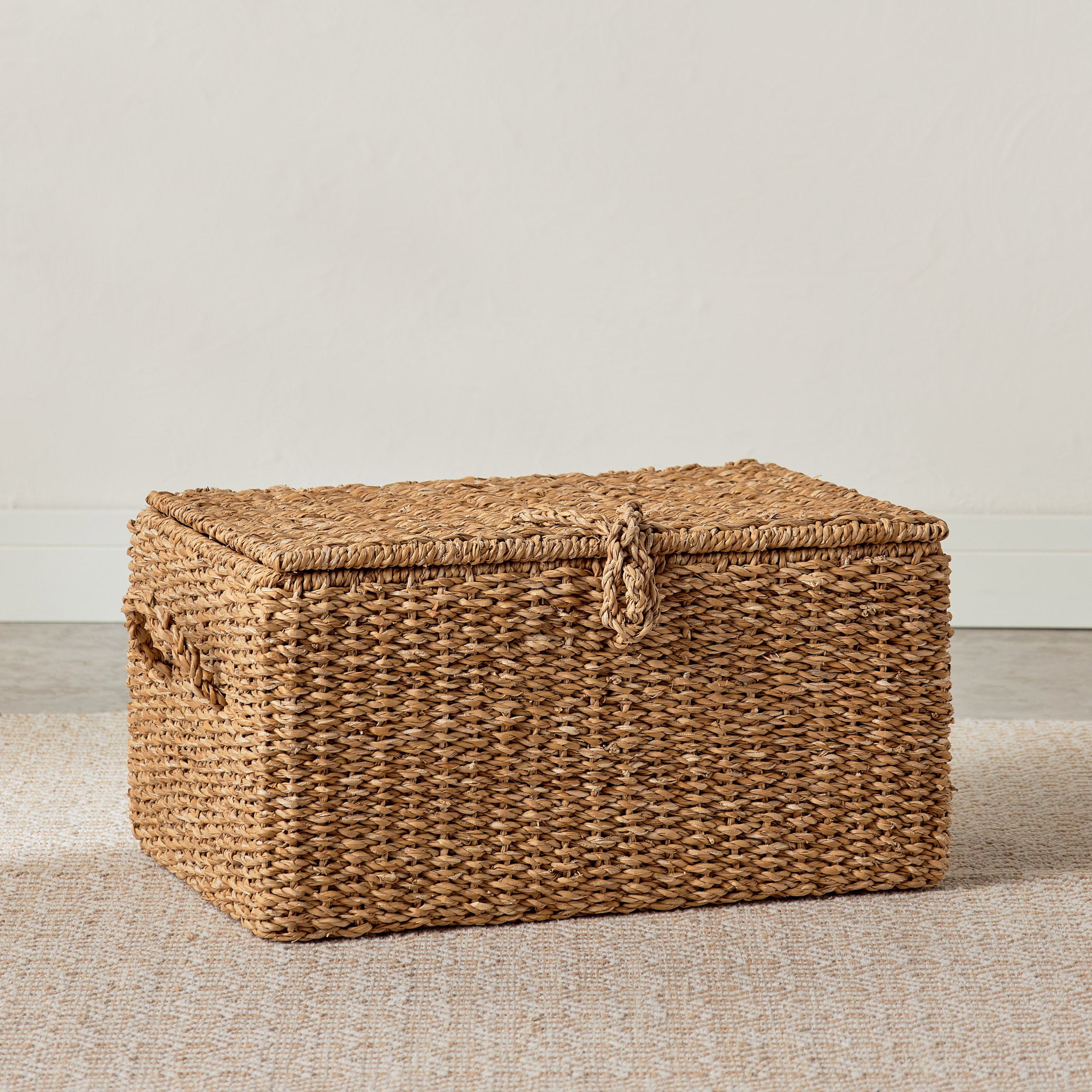صندوق تخزين - وينستون - 50x34x25 سم-household-storage-storagesolutions-trunks-image-1