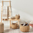 سلّة تخزين - وينستون-household-storage-storagesolutions-storageboxesandbaskets-image-1
