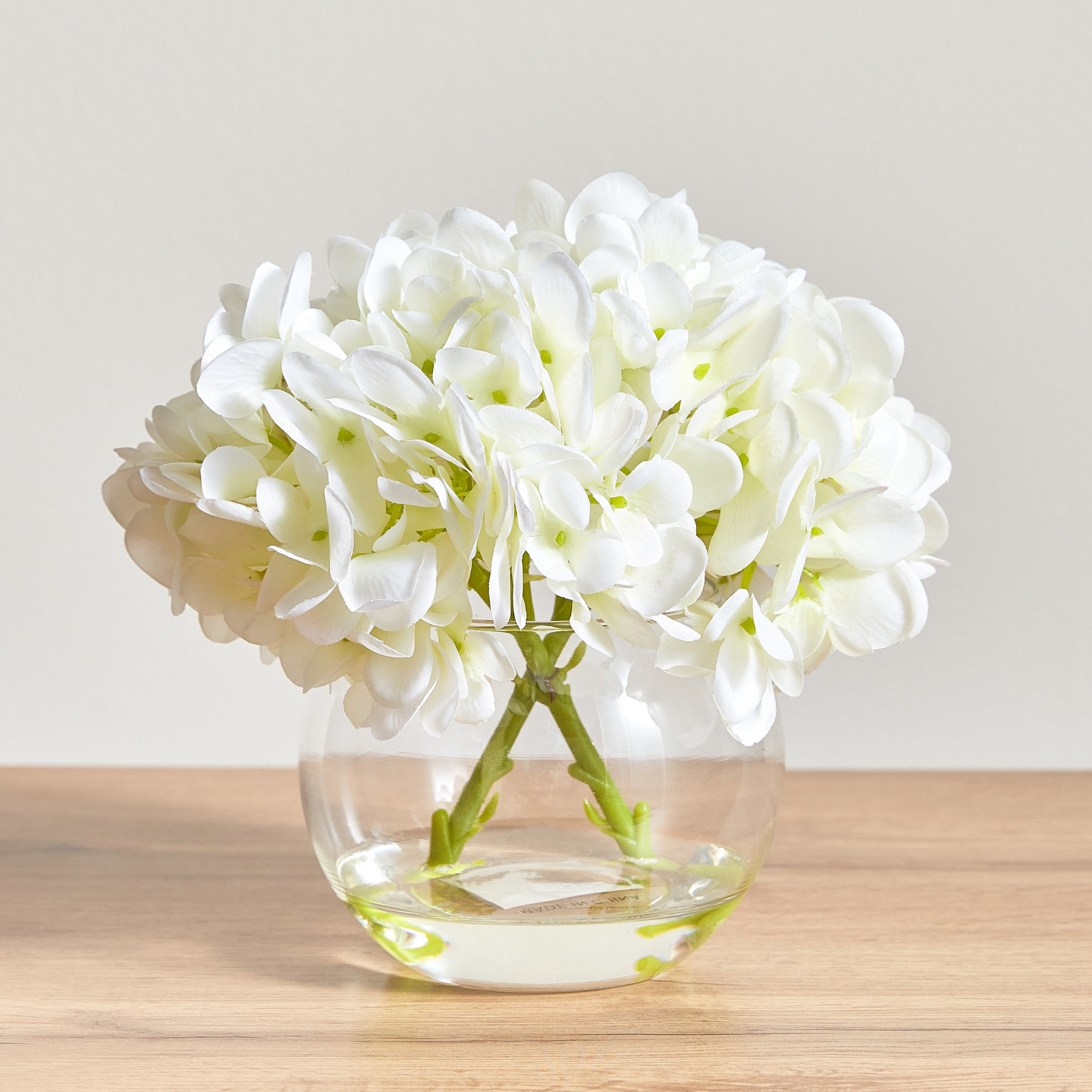 Shop Ortensia White Hydrangea Flower in Pot - 16 cm | Home