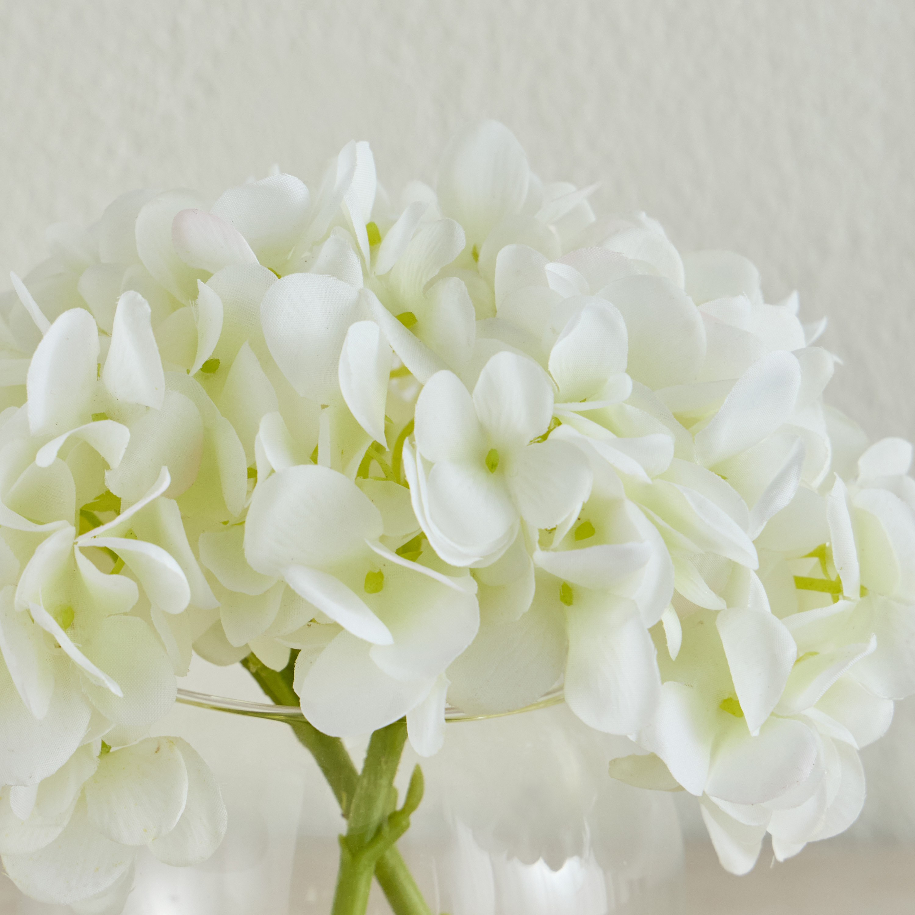 Shop Ortensia White Hydrangea Flower in Pot - 16 cm | Homecentre UAE