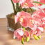 Roseus Pink Cymbidium Plant in Pot - 34 cm-household-gardenandoutdoor-artificialflowersandplants-flowers-image-3