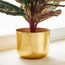 إناء زرع معدن - أليسينت - 17 سم-household-gardenandoutdoor-potsandplanters-planters-image-4