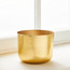 إناء زرع معدن - أليسينت - 17 سم-household-gardenandoutdoor-potsandplanters-planters-image-3