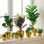 إناء زرع معدن - أليسينت - 17 سم-household-gardenandoutdoor-potsandplanters-planters-image-1