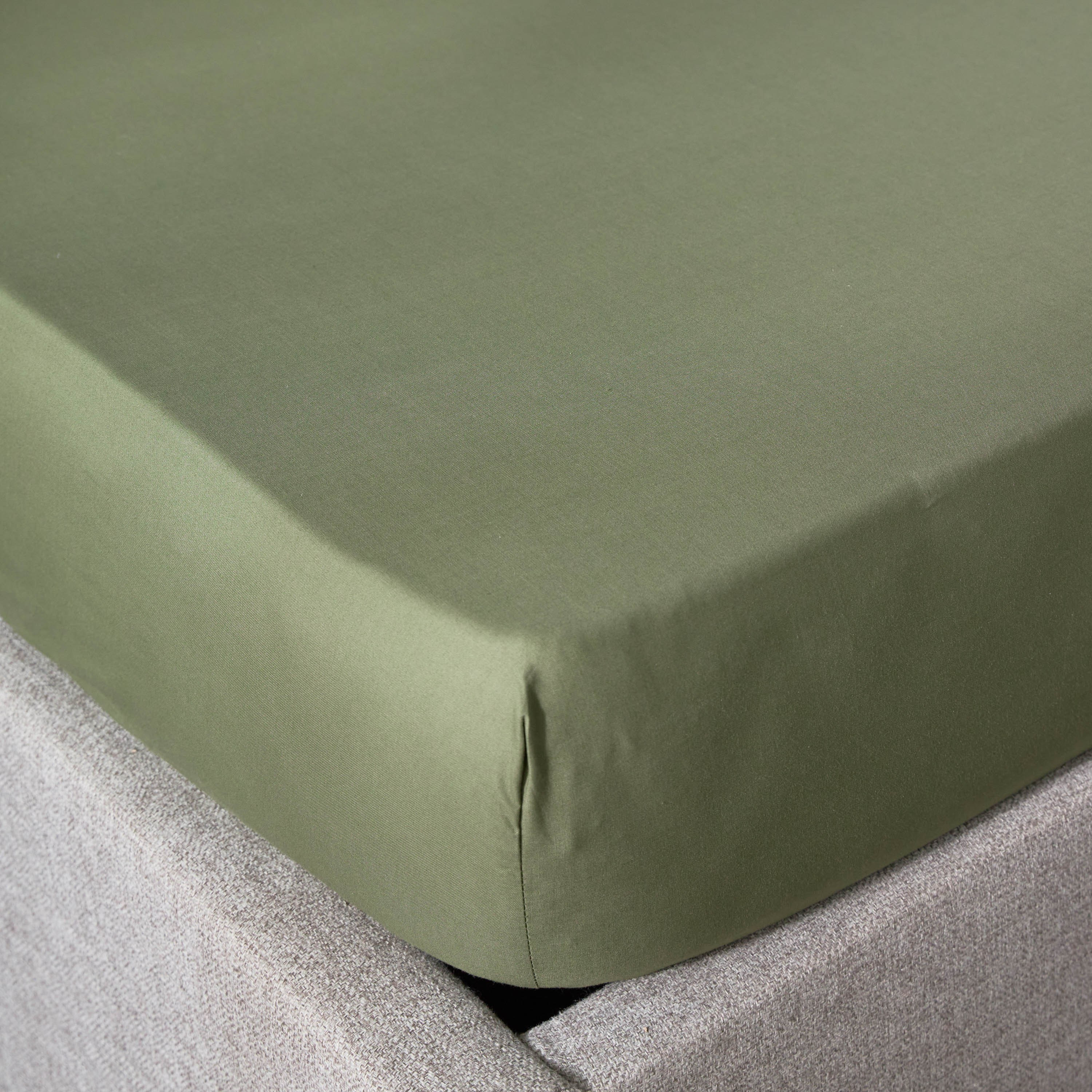 Essence Cotton Percale 144 Thread Count Queen Fitted Sheet - 160x200 cm