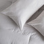 Amour Egyptian Cotton Sateen 300 Thread Count 3-Piece Queen Comforter Set - 200x240 cm-household-bedding-comfortersandbedspreads-comforters-image-3