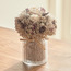 زهور روز مجففة في إناء - 18 سم-household-gardenandoutdoor-artificialflowersandplants-flowers-image-3