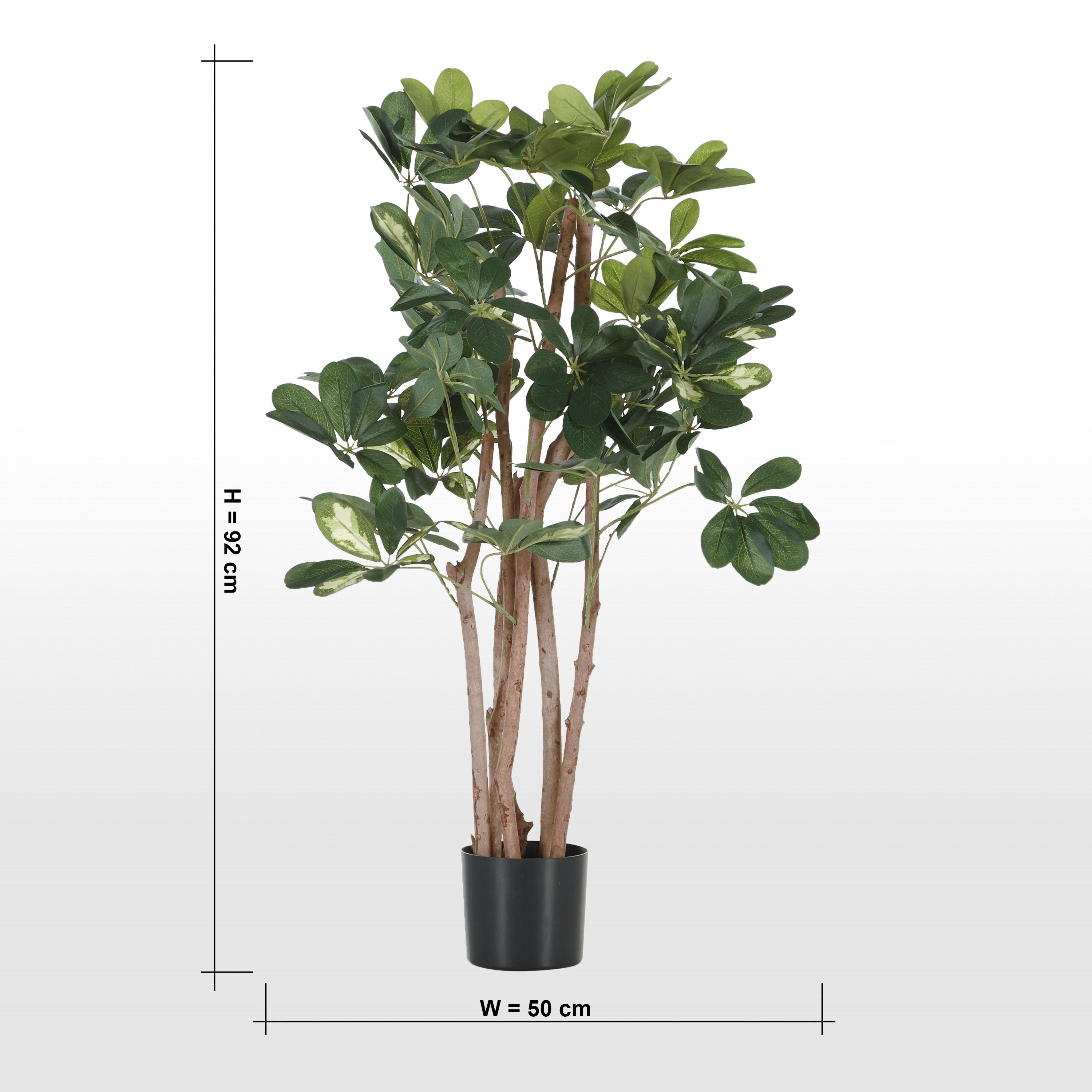 Schefflera Tree - 92 cm-household-gardenandoutdoor-trees-image-5