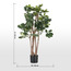شجرة شيفليرا - 92 سم-household-gardenandoutdoor-trees-image-1