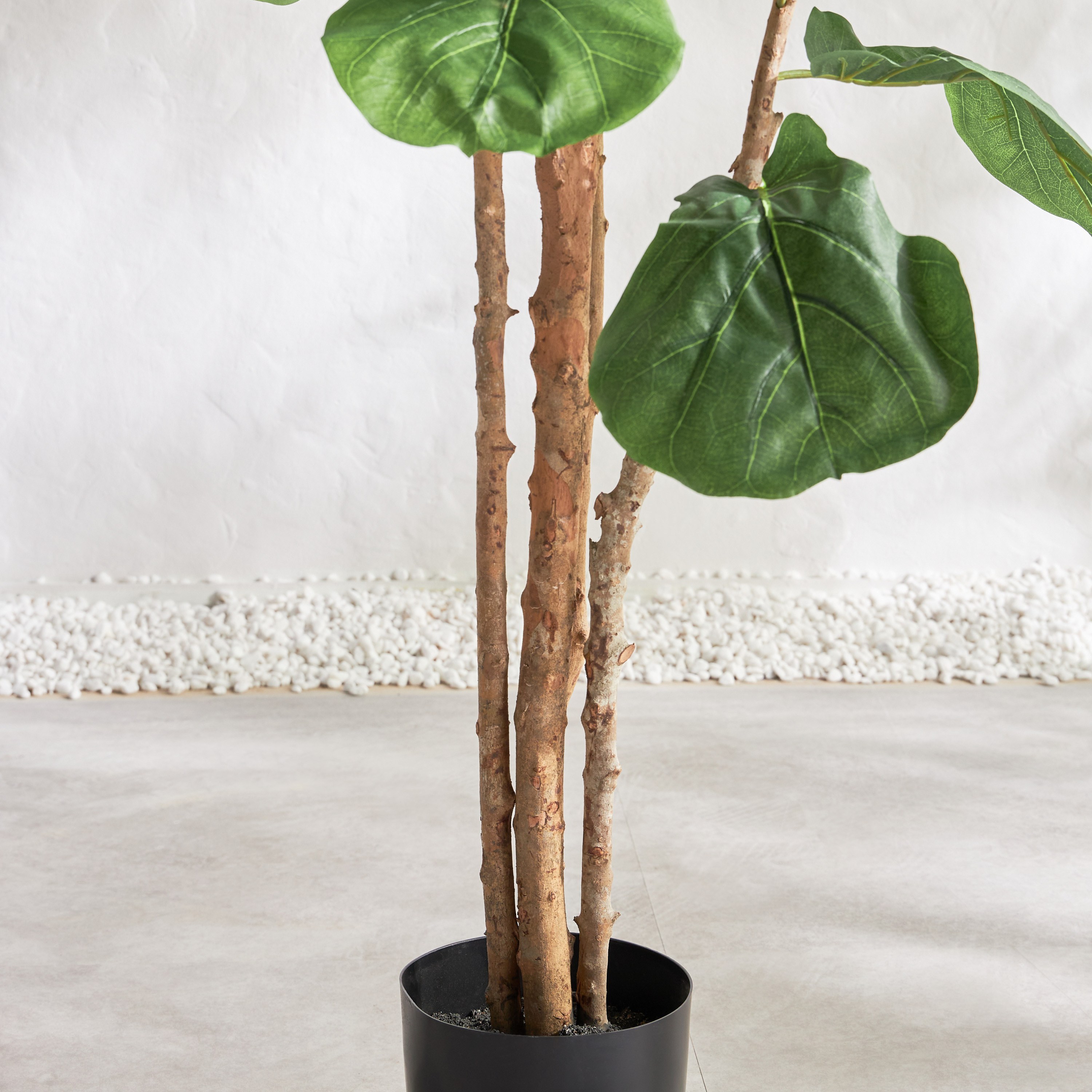 Fiddle Tree - 183 cm-household-gardenandoutdoor-trees-image-3