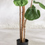 شجرة تين - 183 سم-household-gardenandoutdoor-trees-image-3