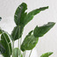 Traveller Palm Tree - 243 cm-binpromo_KSA_Alrajhi_17062026-image-2