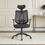 كرسي مكتب - بلين-furniture-office-officechairs-image-8