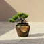 Green Bonsai Fountain with LED Light-binpromo_ALLBANKS_OMN_14032025-image-2