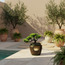 Green Bonsai Fountain with LED Light-binpromo_ALLBANKS_OMN_14032025-image-4