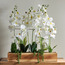 تشكيلة زهور أوركيد - دافني - 78 سم-household-gardenandoutdoor-artificialflowersandplants-flowers-image-3
