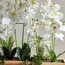 تشكيلة زهور أوركيد - دافني - 78 سم-household-gardenandoutdoor-artificialflowersandplants-flowers-image-2
