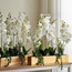 تشكيلة زهور أوركيد - دافني - 78 سم-household-gardenandoutdoor-artificialflowersandplants-flowers-image-1