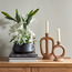 Clio Tiger Lily Plant in Ceramic Pot - 39 cm-binpromo_ALLBANKS_OMN_14032025-image-3
