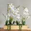 Daphne Mixed Orchid Arrangement - 78 cm-household-gardenandoutdoor-artificialflowersandplants-flowers-image-1