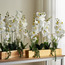 Daphne Mixed Orchid Arrangement - 78 cm-household-gardenandoutdoor-artificialflowersandplants-flowers-image-3