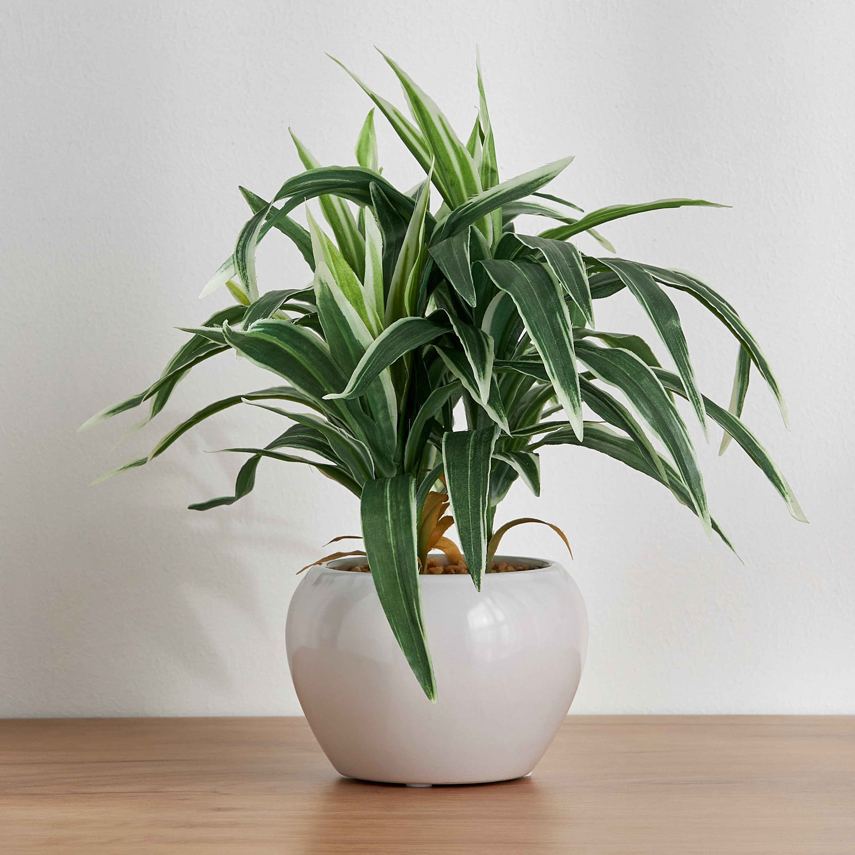 Conrad Snake Plant with Pot - 30 cm-household-gardenandoutdoor-artificialplants-pottedplants-image-1