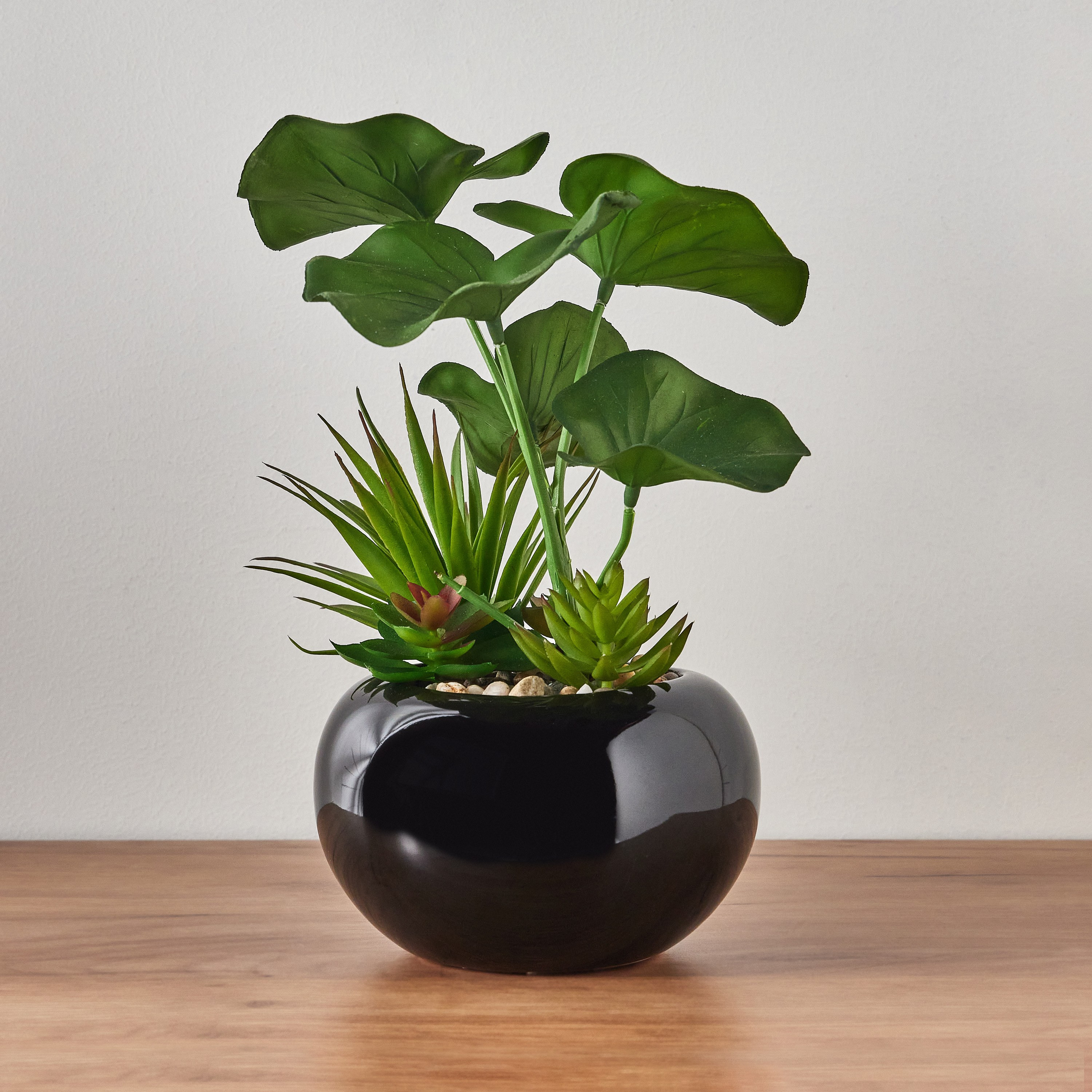 Lotus deals plant pot