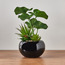 نبات لوتس في أصيص - بوب- 30 سم-household-gardenandoutdoor-artificialplants-pottedplants-image-3