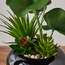 نبات لوتس في أصيص - بوب- 30 سم-household-gardenandoutdoor-artificialplants-pottedplants-image-2