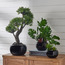 نبات لوتس في أصيص - بوب- 30 سم-household-gardenandoutdoor-artificialplants-pottedplants-image-1