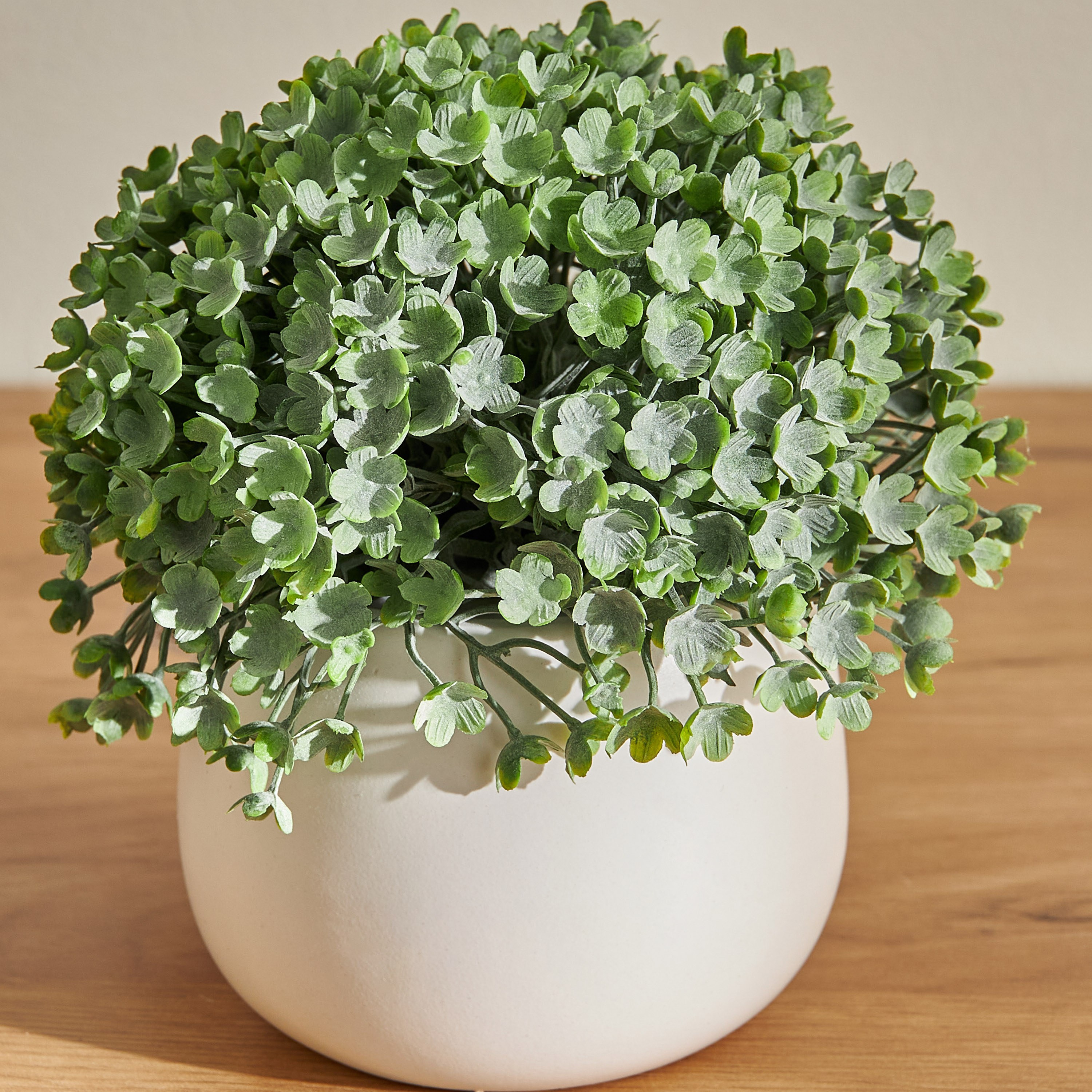 Gus Aglaia Plant in Pot - 14 cm-household-gardenandoutdoor-artificialplants-pottedplants-image-2