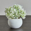 نبتة بزهور صغيرة في أصيص - جاسون - 16 سم-household-gardenandoutdoor-artificialflowersandplants-flowers-image-3