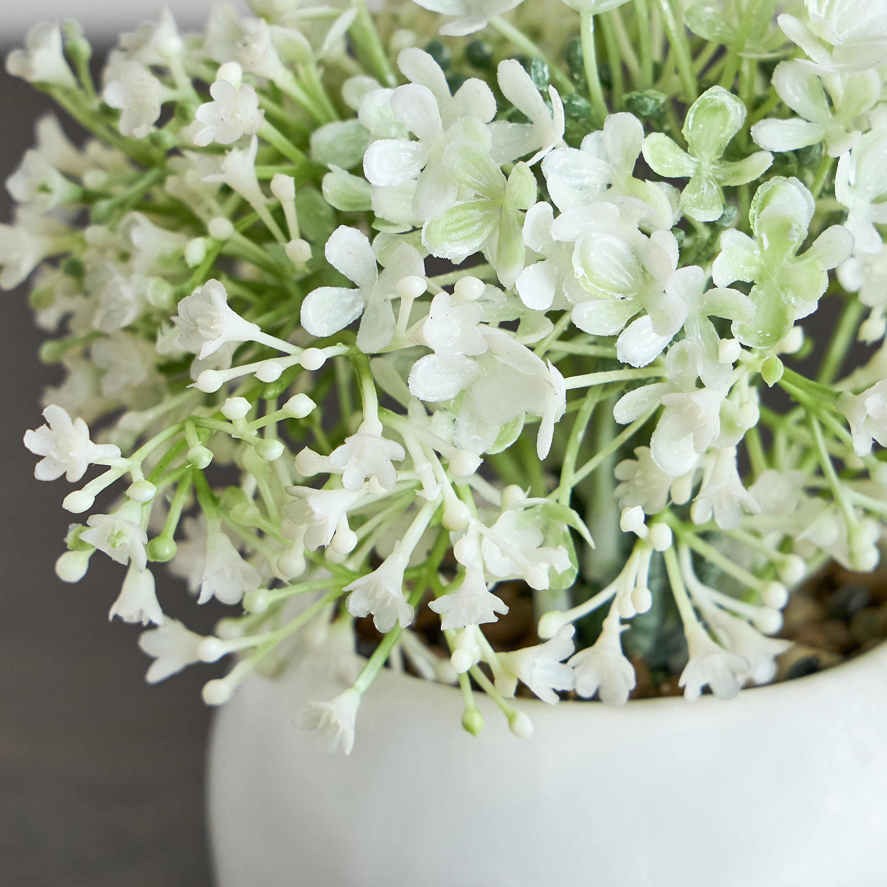 Jason Mini Flower Plant in Pot - 16 cm-household-gardenandoutdoor-artificialflowersandplants-flowers-image-2