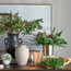 نبتة بزهور صغيرة في أصيص - جاسون - 16 سم-household-gardenandoutdoor-artificialflowersandplants-flowers-image-1