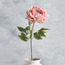 جذع فاوانيا مجعد - 73 سم-household-gardenandoutdoor-artificialflowersandplants-stems-image-3