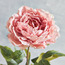 جذع فاوانيا مجعد - 73 سم-household-gardenandoutdoor-artificialflowersandplants-stems-image-2
