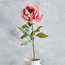 Wrinkled Peony Stem - 73 cm-household-gardenandoutdoor-artificialflowersandplants-stems-image-1