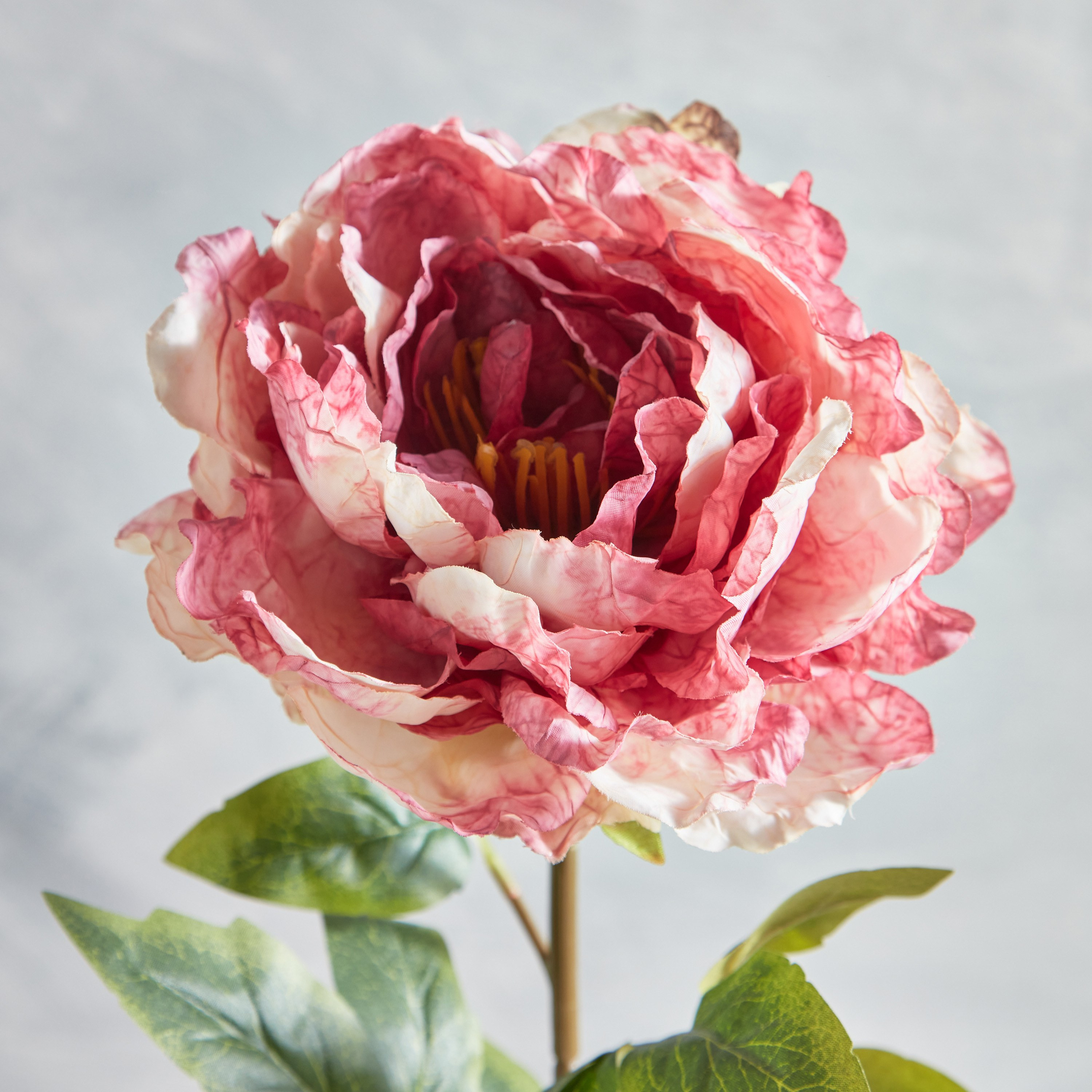 Wrinkled Peony Stem - 73 cm-household-gardenandoutdoor-artificialflowersandplants-stems-image-2