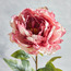 Wrinkled Peony Stem - 73 cm-household-gardenandoutdoor-artificialflowersandplants-stems-image-2