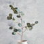 Eucalyptus Spray with Berries - 89 cm-household-gardenandoutdoor-artificialflowersandplants-fillers-image-1