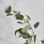 Eucalyptus Spray with Berries - 89 cm-household-gardenandoutdoor-artificialflowersandplants-fillers-image-2