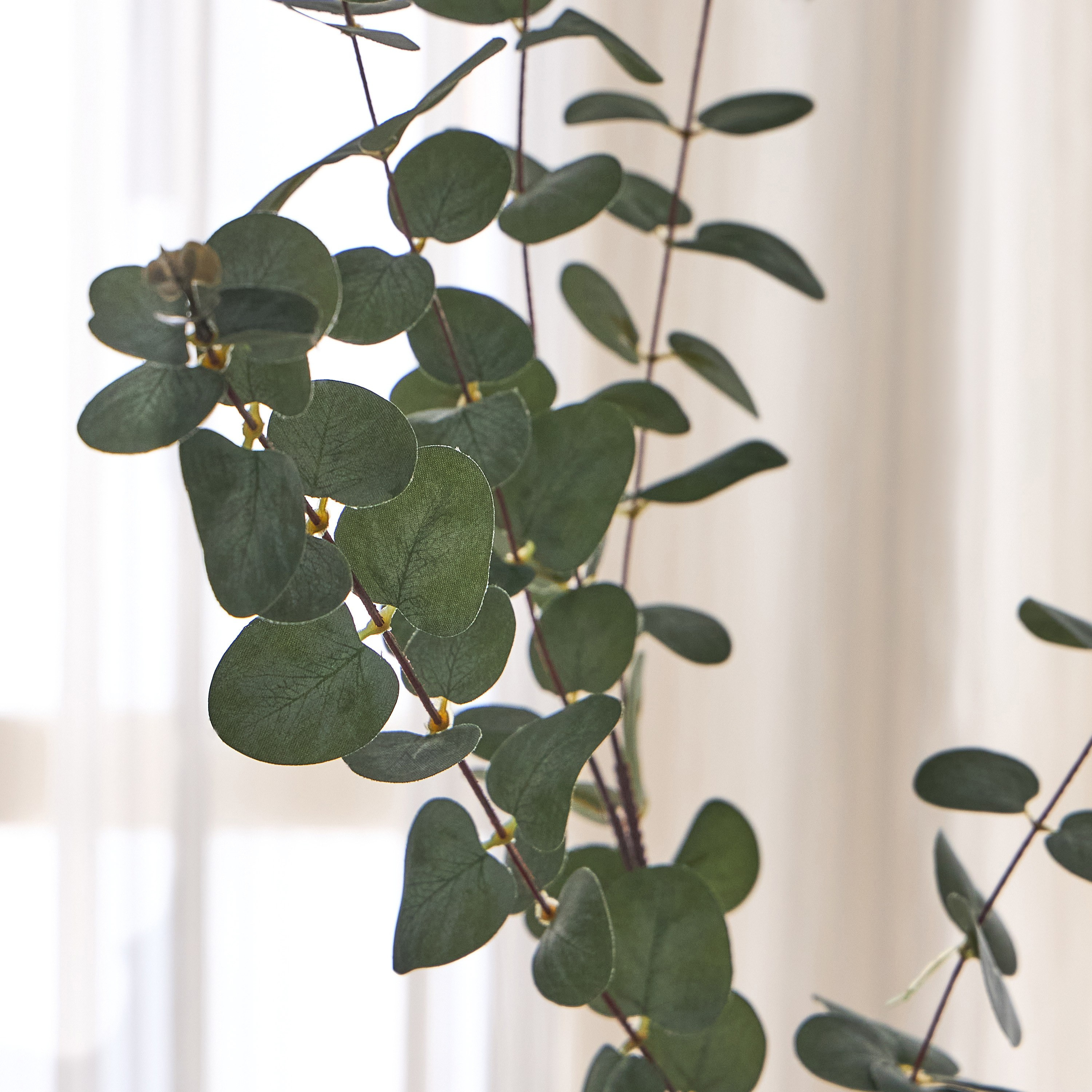 Eucalyptus Stem - 102 cm-household-gardenandoutdoor-artificialflowersandplants-fillers-image-2