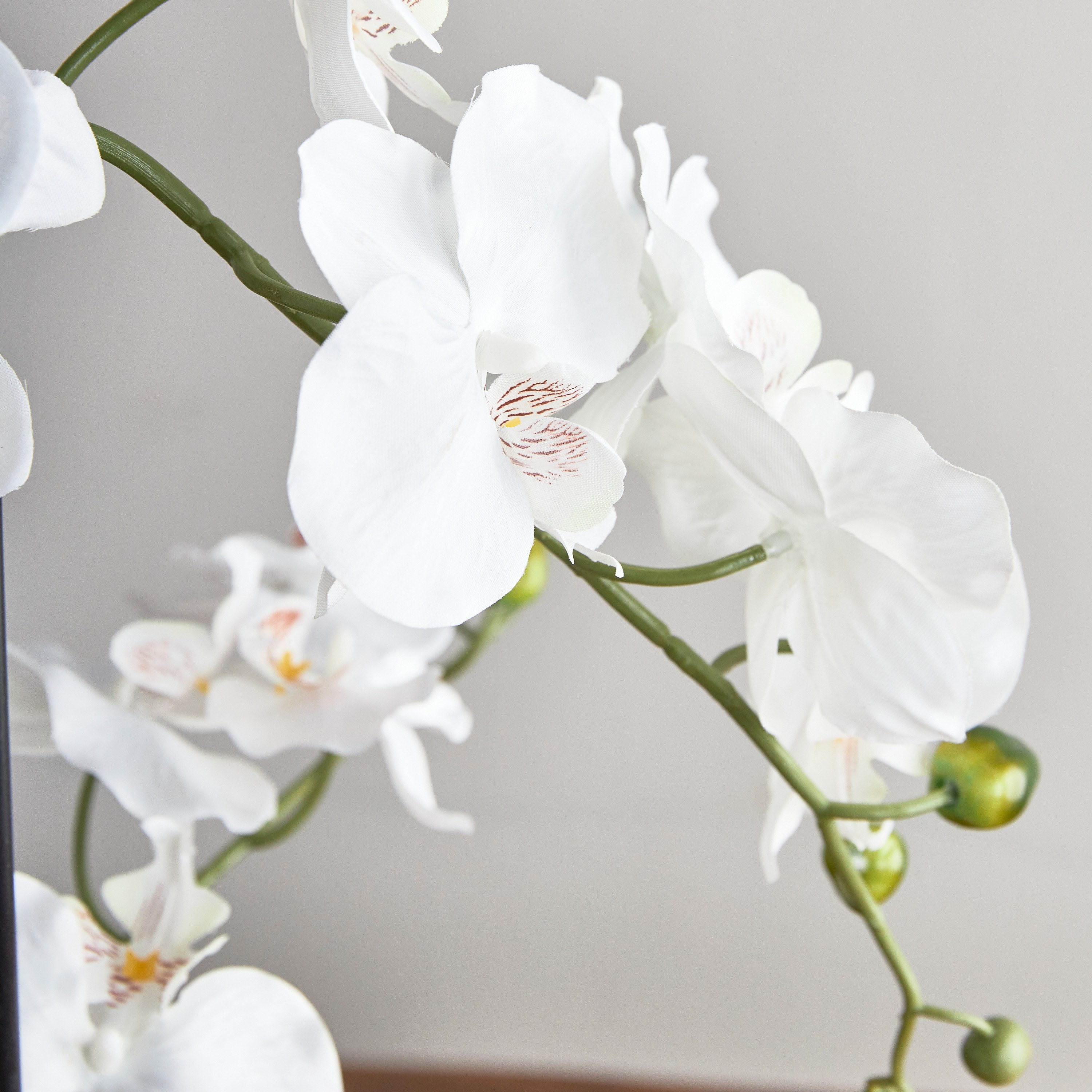 Orchid Stem in Pot - 53 cm-household-gardenandoutdoor-artificialflowersandplants-flowers-image-2